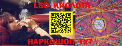 шишки Кандалакша