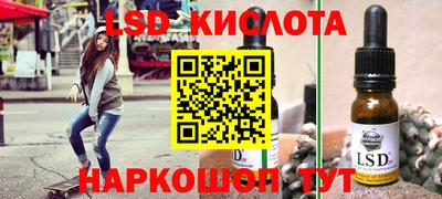 шишки Кандалакша