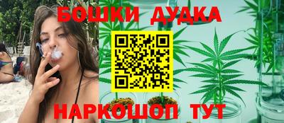 шишки Кандалакша