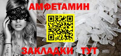 шишки Кандалакша