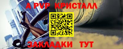 шишки Кандалакша