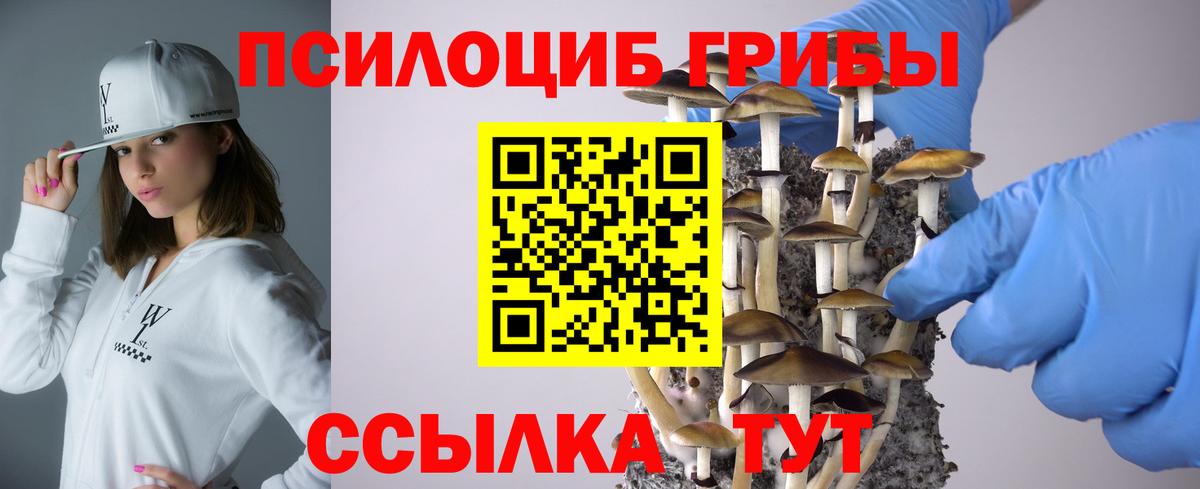 Майкоп  Псилоцибиновые грибы мицелий  Вход с VPN  Псилоцибиновые грибы мухоморы 